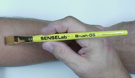 SENSELab Brush-05